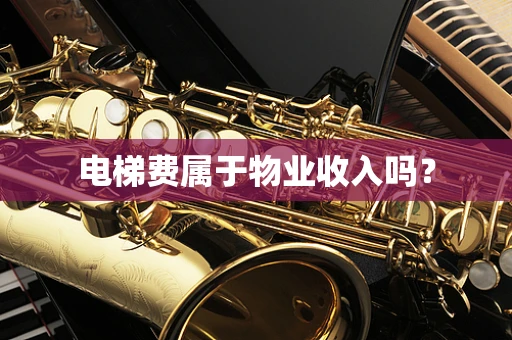 电梯费属于物业收入吗？