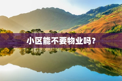 小区能不要物业吗？