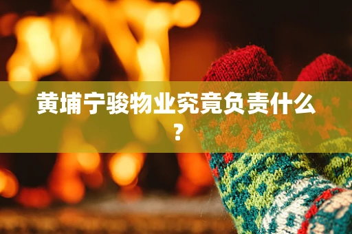 黄埔宁骏物业究竟负责什么？