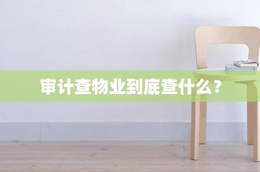 审计查物业到底查什么？