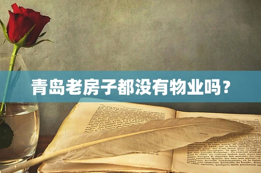 青岛老房子都没有物业吗？