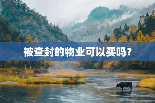 被查封的物业可以买吗？