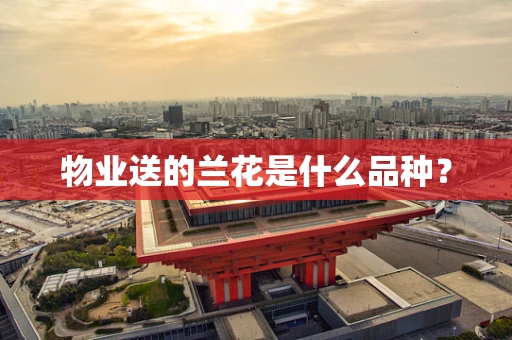 物业送的兰花是什么品种？