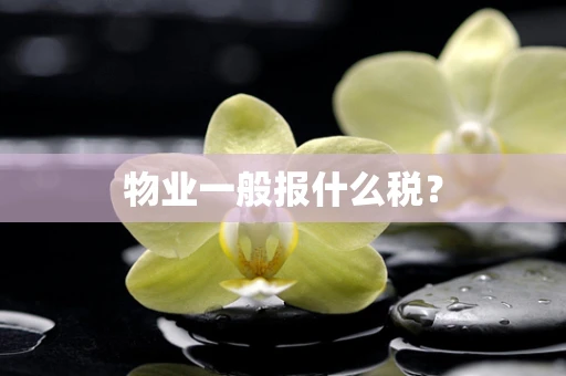 物业一般报什么税？