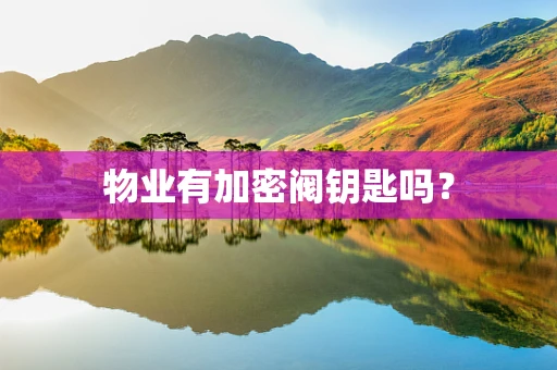 物业有加密阀钥匙吗？