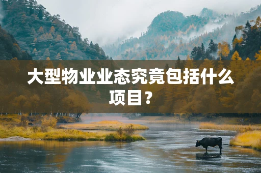 大型物业业态究竟包括什么项目？