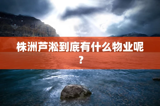 株洲芦淞到底有什么物业呢？