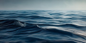 君临海域究竟是哪家物业在服务？