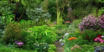 芙蓉家园究竟是什么物业？