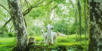 荣信森林里究竟是什么物业？